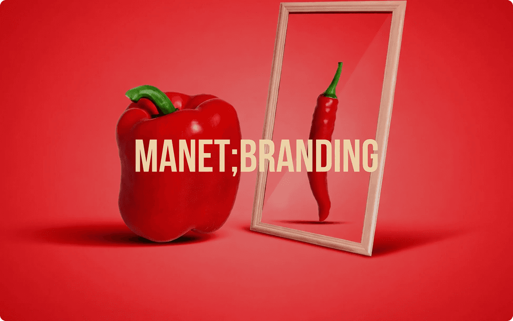 Brand identity and design showcase